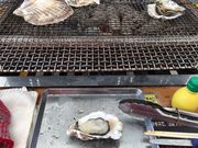 poporon̉y单ۂ̓eʐ^3