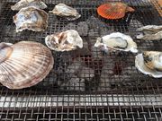 poporon̉y单ۂ̓eʐ^4