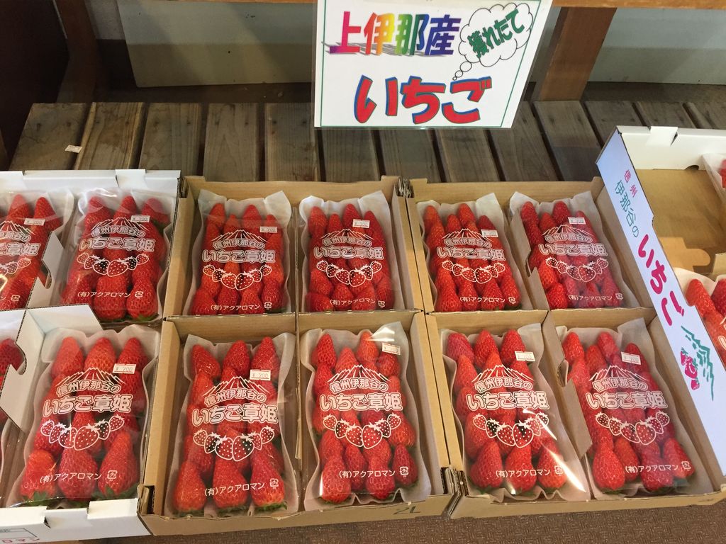 伊那 お 土産
