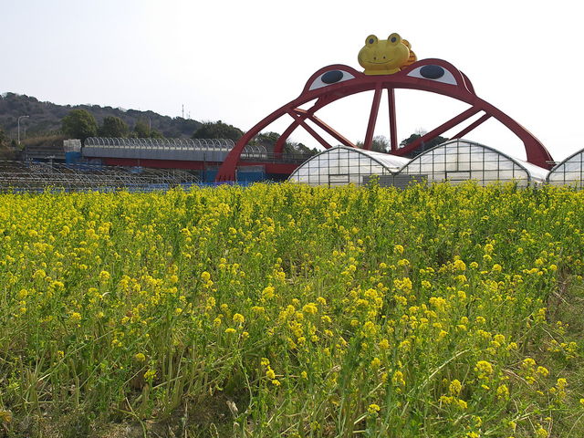 �����鋴_�����鋴