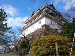 ӂ݂񂳂̘a̎Rւ̓eʐ^1