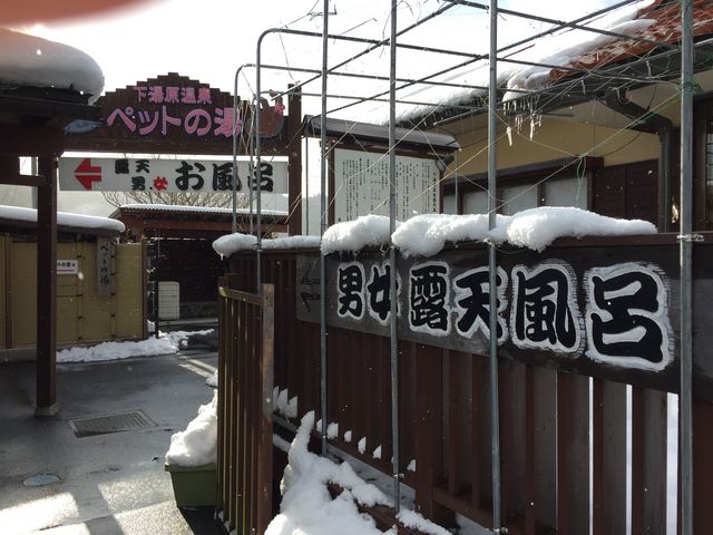 �������_����������