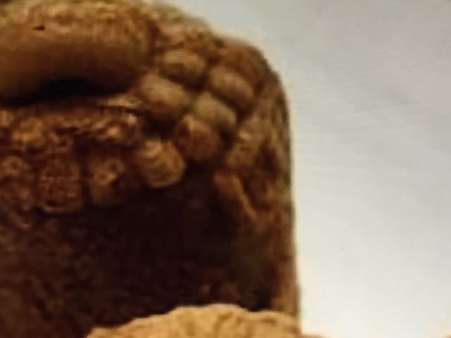 ̂̂肳̑{ƒޏ{ܖ{X̓eʐ^1