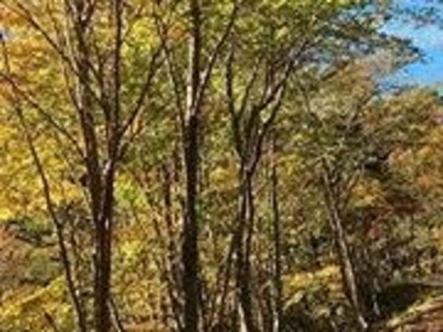 ANZ[JC̃t@KX̐X̓eʐ^1