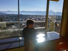 b{̖iƐ肷鉷@11ނ̂C@ze_̓̎ʐ^2