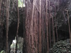 񂳂̃KK[̒Jւ̓eʐ^1