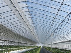 Ă̃^ix[t@[(TANABERRY FARM)ւ̓eʐ^4