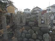 TrL̓y򈫌ܘY̓̕eʐ^1