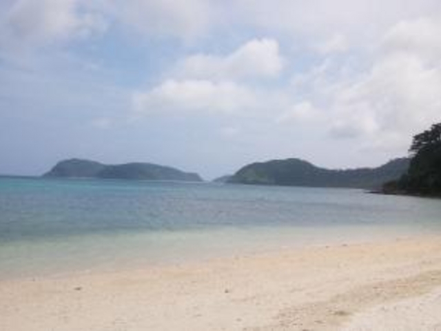 ����_�C�_�̕l