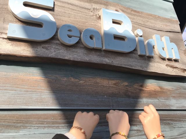 ���X�̑O��_��I���l�C�̎G�݉��@SeaBirth