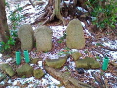 思っていたのとは 高山マリアの墓の口コミ じゃらんnet