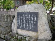 �����̂�������̐�Ƒ����̔�̓��e�ʐ^1