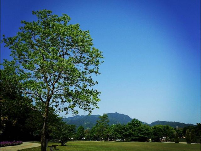 ����_����_�ƌ����x���t�@�[��