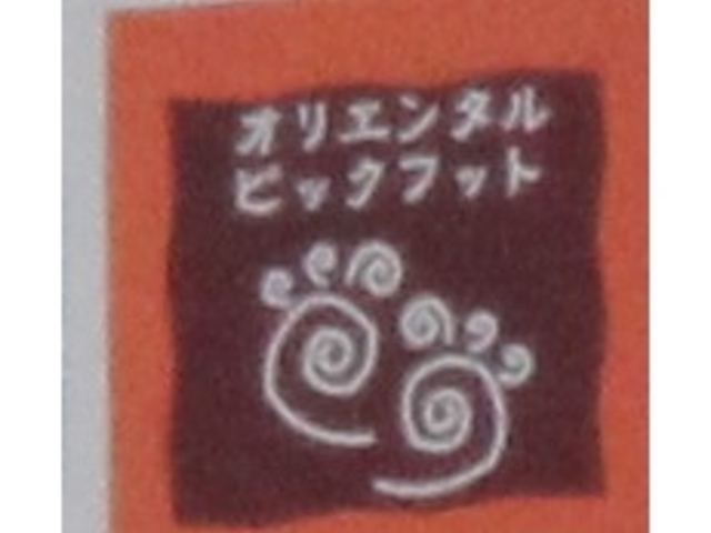 Gh̃IG^rbNtbg̓eʐ^1