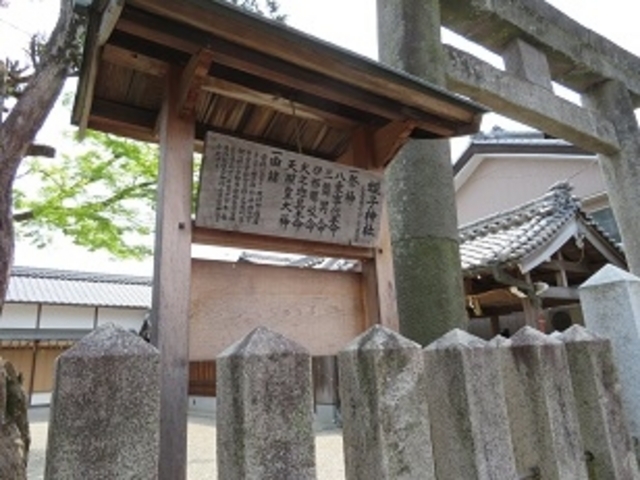 �L������̕g�q�_�Ђ̓��e�ʐ^2