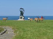 񂳂̓{Ŗk[̒n̔̓eʐ^4