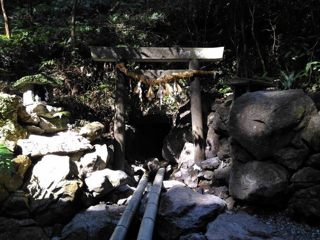 �N�����͓~�͂��������������܂�_�V�̊��