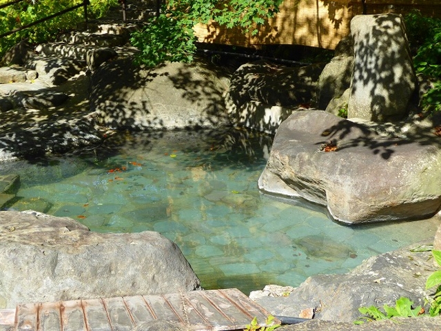 �R�`���E���쉷��@��I�V���C_�k����i�̏h�@���쉷��@������