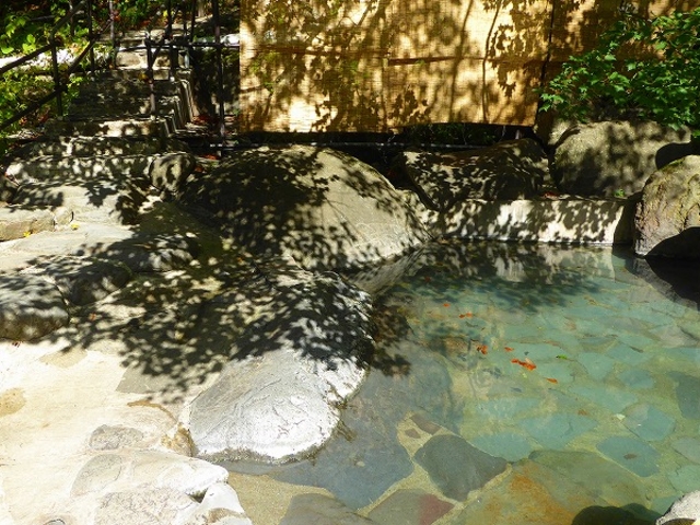 �R�`���E���쉷��@��I�V���C_�k����i�̏h�@���쉷��@������