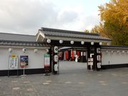 F񂳂̍̔n@ʉόē̓eʐ^1