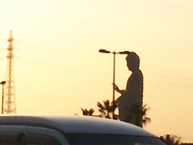 g蒆łB啧܂ɍgvT̂ɋJ܂B_݃v~AAEgbg