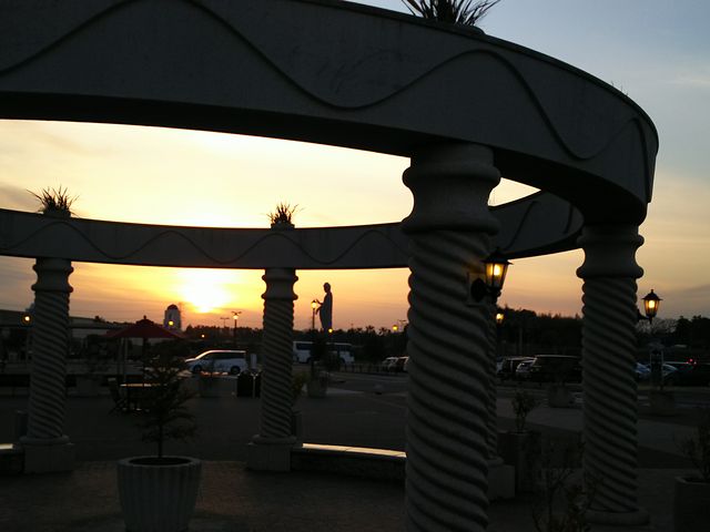 [hLƑ啧܂܂B({ԒłB)  _݃v~AAEgbg