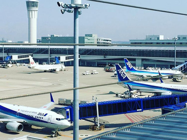 ANA������(��)_�������ۋ�`�@�Z���g���A