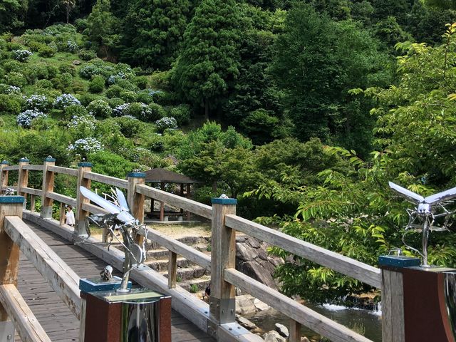 �Ɋ򍲐�ɉ˂���ق��鋴�B_�Ɋ򍲐�S��