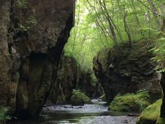 bloe����̒M�O�K���[�ւ̓��e�ʐ^1