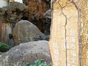 ���񂳂�̑哒�ԟ[��̓��e�ʐ^1