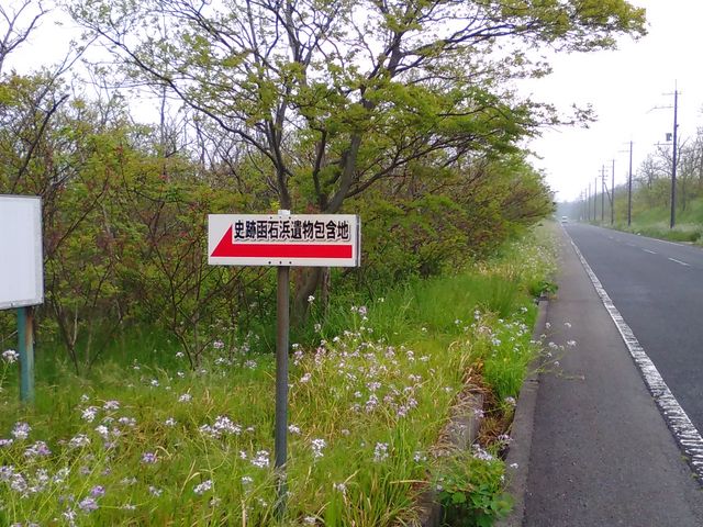 �ӂ��݂̃j�b�J�{�b�J�[�Y����̔��Εl�╨��ܒn�̓��e�ʐ^1