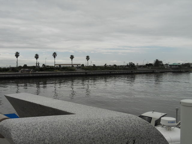 ����_����