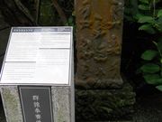 ��������񂳂�̌Q�����Α��M�\���̓��e�ʐ^1