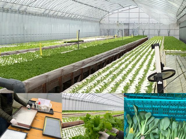 �Y���b�ƕ��� ����؂����邾���ł��y�����I_�Ă������ӂ��[�ށ@�K���ؑ]���_��