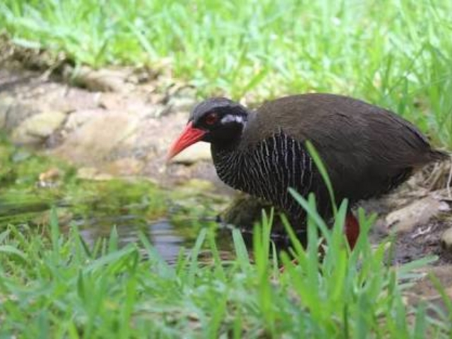 �L�����L����_�����o���N�C�i���ԓW���w�K�{��