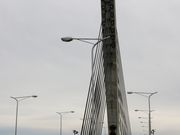 Ƃ񂳂̔T]勴̓eʐ^1