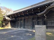 Ђ͂񂳂̋Brc~\̓eʐ^1