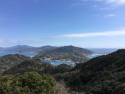 poporon����̌����R�W�]�����i���A�֌����сj�̓��e�ʐ^4