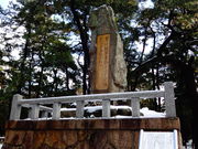 ���ǁ[����̒��r�̔�̓��e�ʐ^1