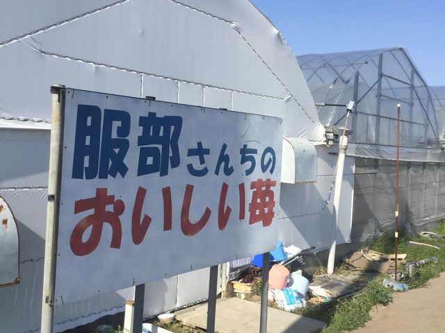 �O��_�������񂿂̂��������