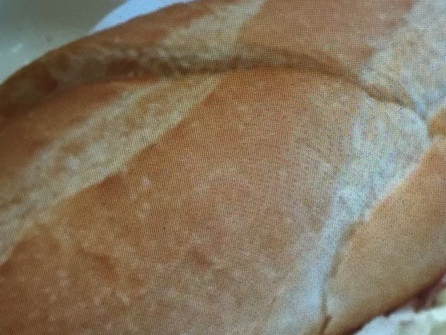 hg[_hg[R[q[Vbv_ˑwa@X