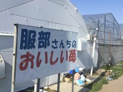 G񂳂̕񂿂̂䕂ւ̓eʐ^1