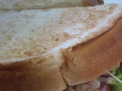 񂯂񂳂̃hg[R[q[Vbv VnllrXւ̓eʐ^1