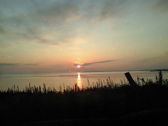 �T���}��_�T���}�ΔȗV����