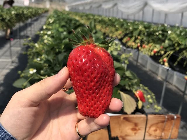 �嗱�łƂɂ����Â�_������������