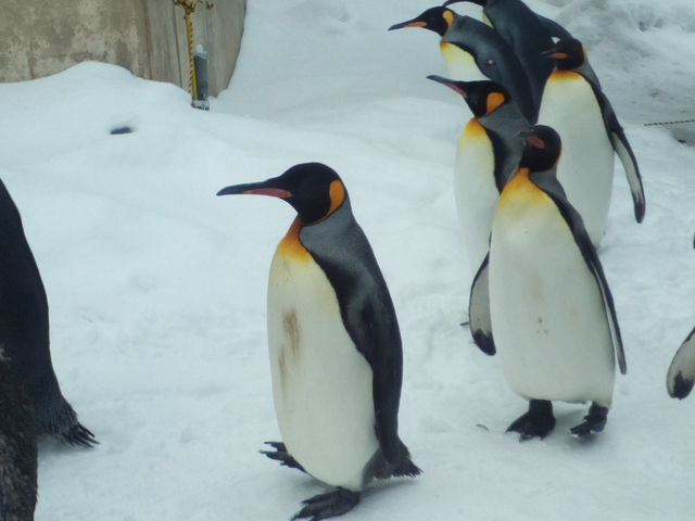 �������_���R������