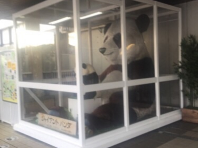 ���炵���p���_�ł��B_���w�W���C�A���g�p���_��