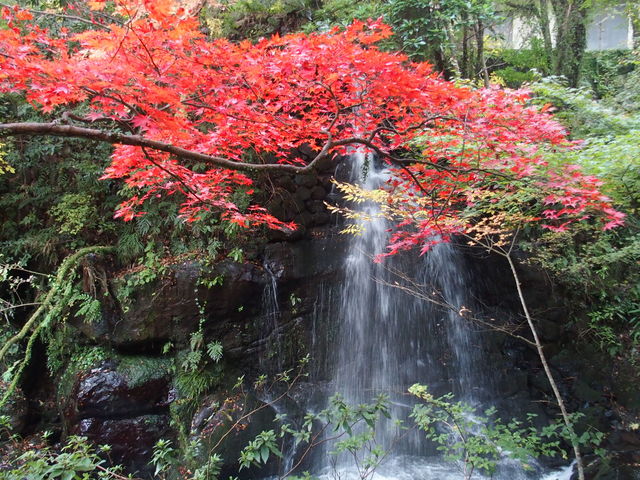 �g�t_���t�����@