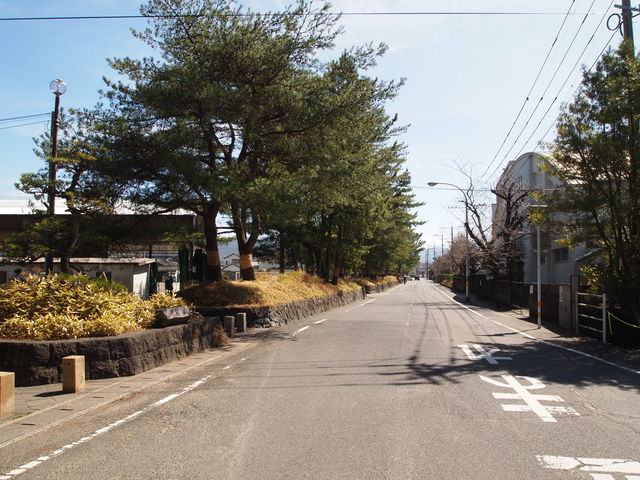 ˂񂳂̗jƕŵ݂̓eʐ^10