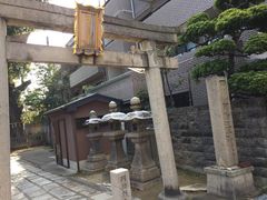 䂫Ȃ̈{q_Ђւ̓eʐ^1